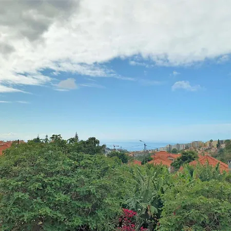 Charming Madeiran House In Funchal * Funchal (Madeira)
